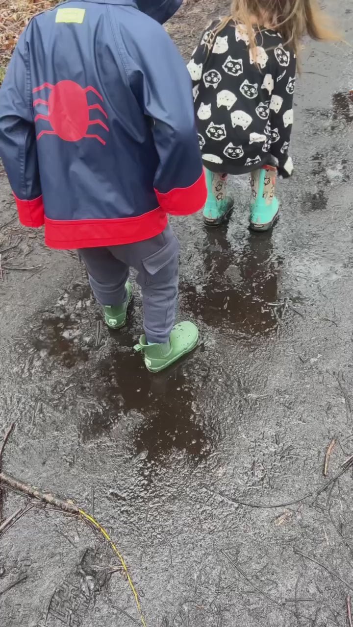 Foil It Fun! - Animal Kingdom